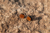 Boho Stud Earrings